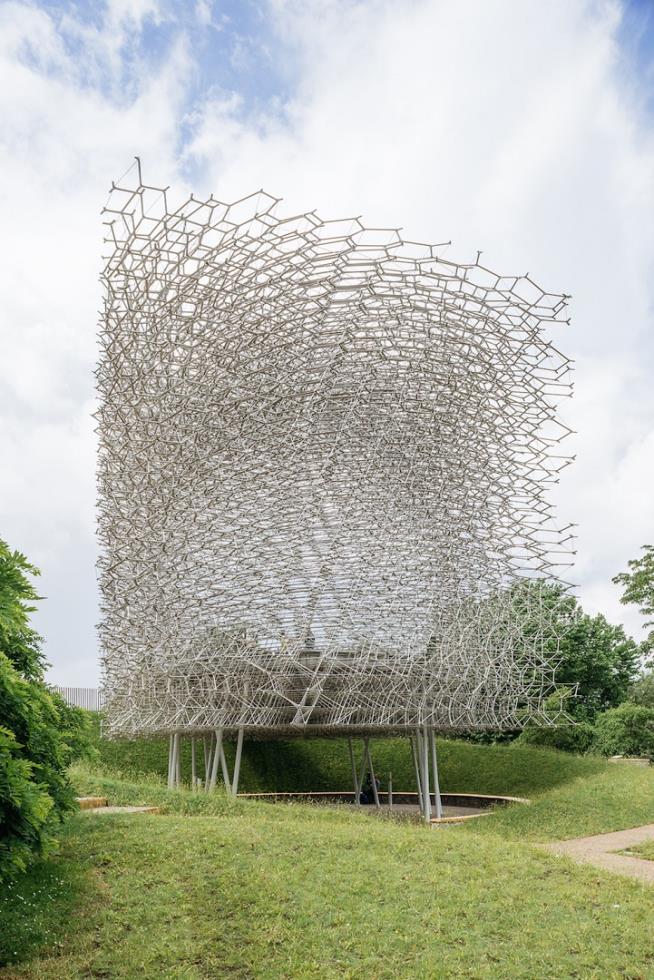 hive4