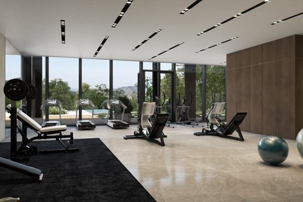 gym