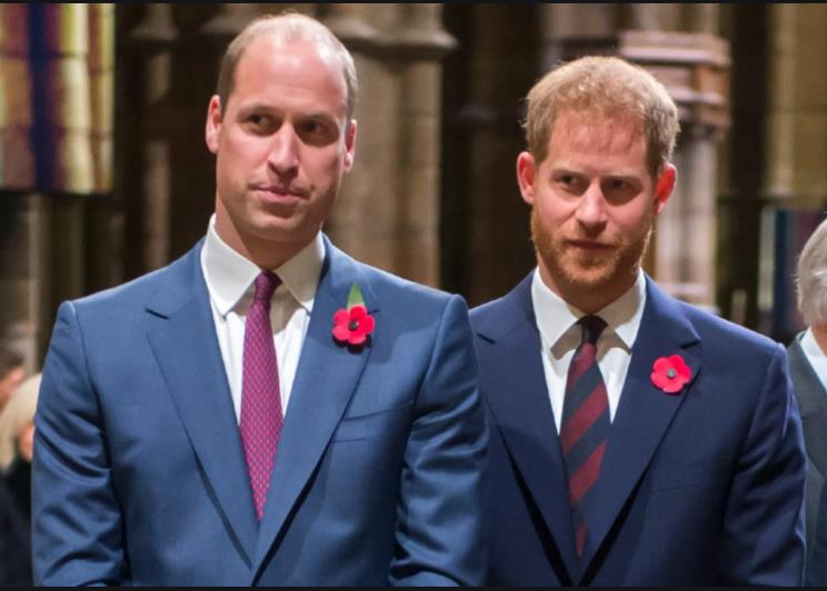 3852140600111912 image