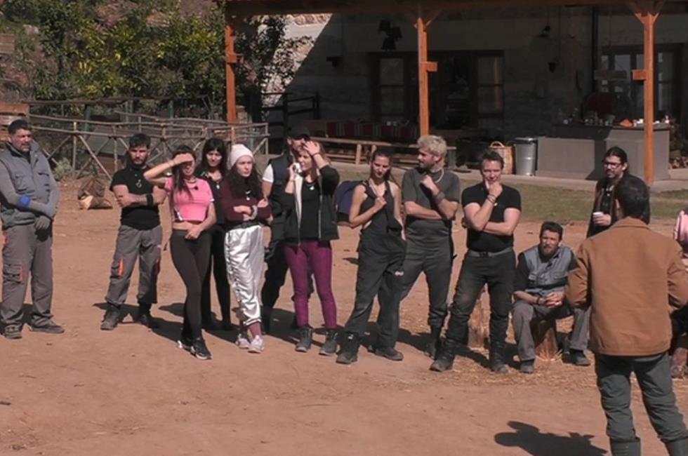 3854652746817287 farma-5