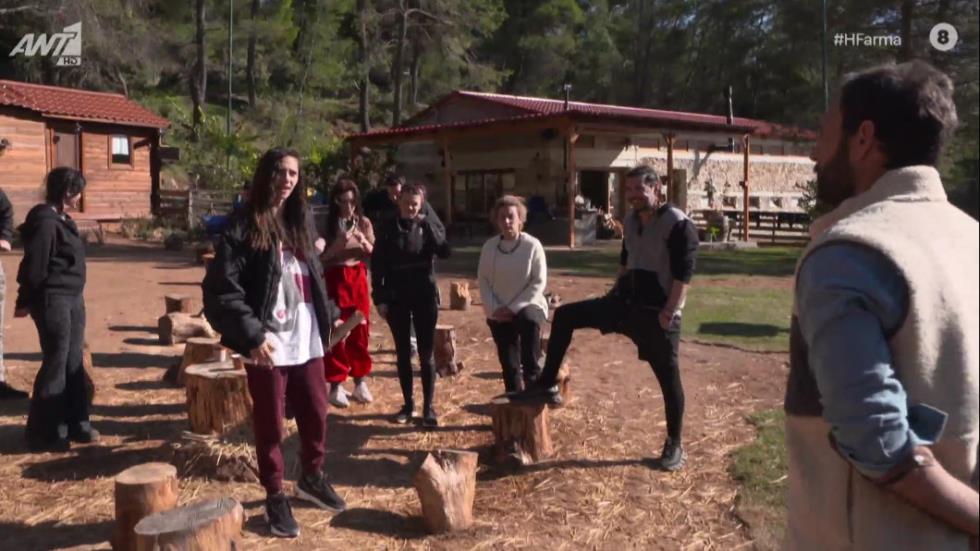 3855498619841252 farma10