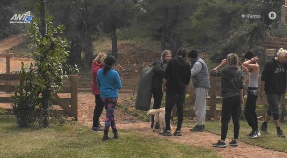 3860689822801408 dede4