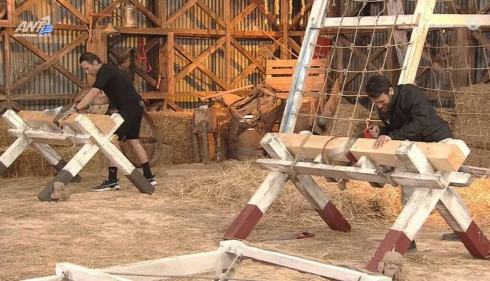 3860689984575482 farma-4