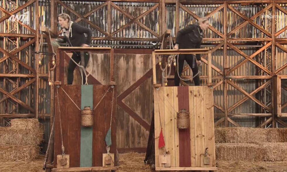 3867581577025053 dede-maria