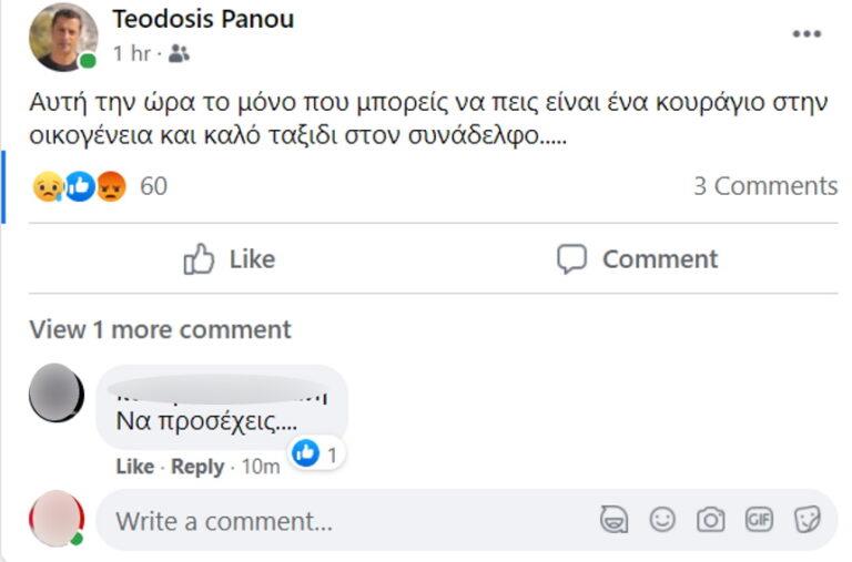 3872797678028070 panou-768x507