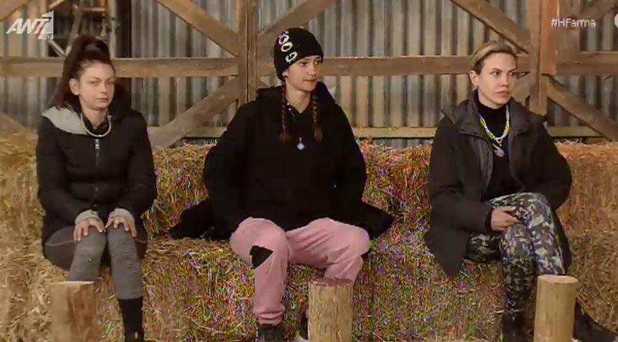 3873629337123001 farma copy 16