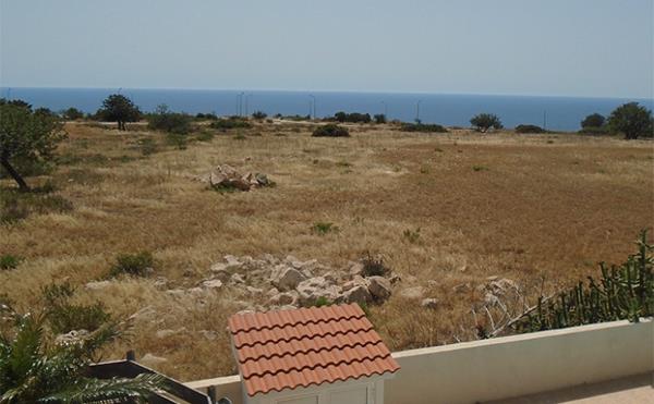 pegeia2104