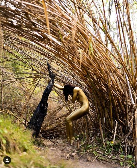 3878034451646585 image