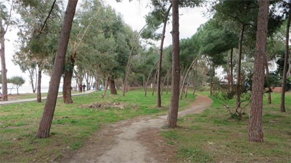 dasoudiparko