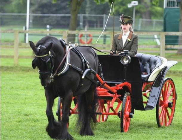 3883261465289163 image