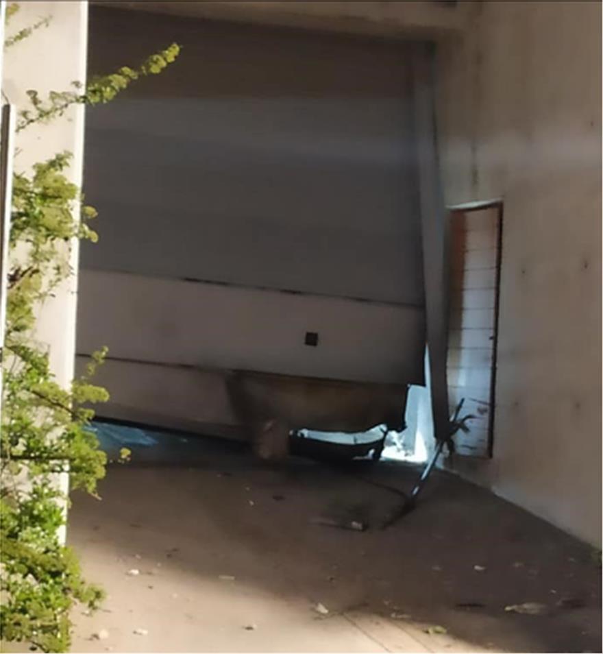 3883993522261489 φουρ2