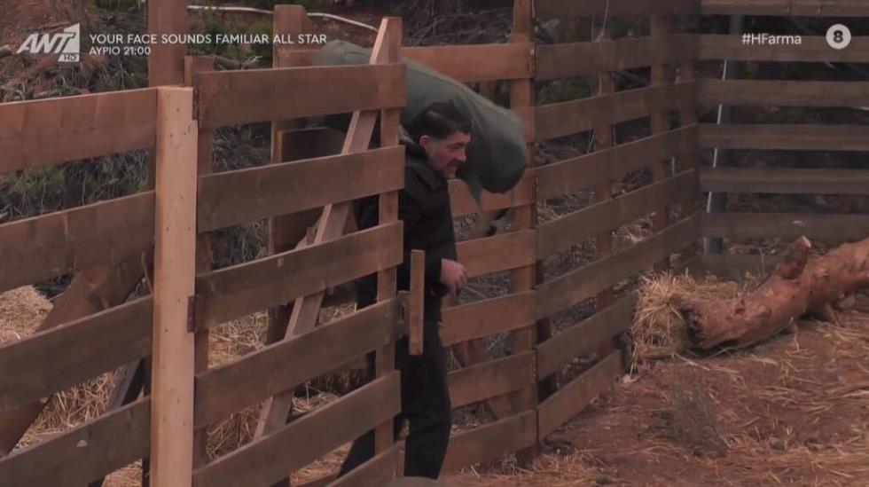 3885710328511086 farma2