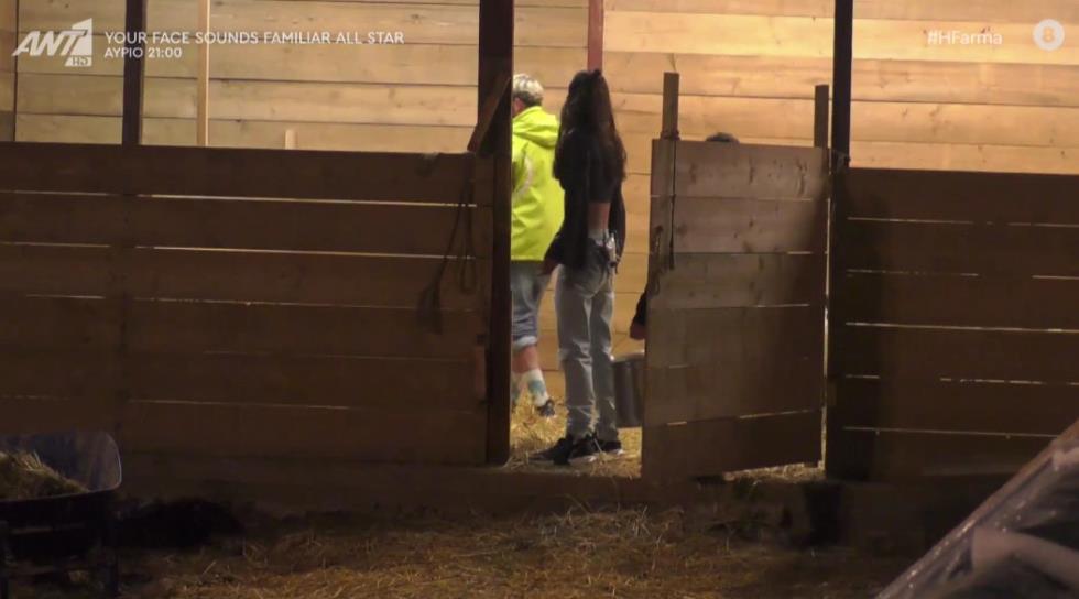 3885710669531458 farma13