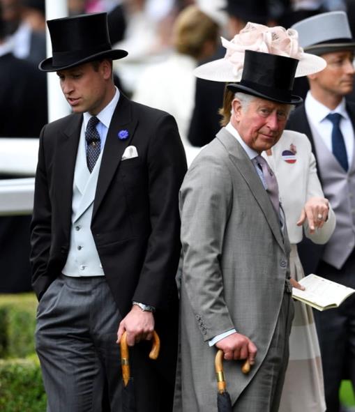 3887563780162531 image