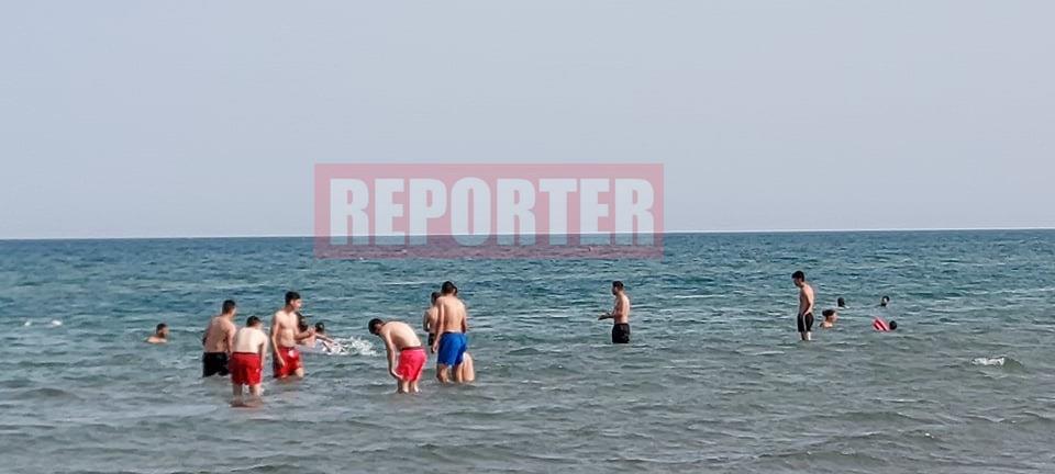 3892056678053071 paral