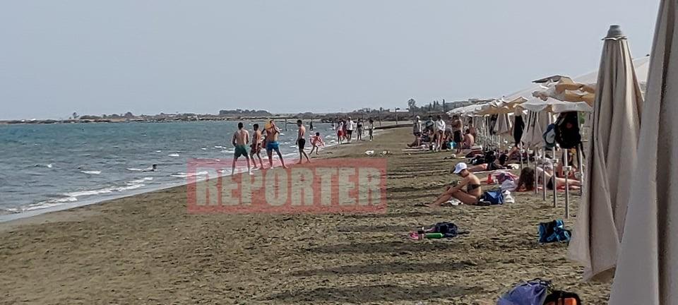 3892056786024447 paral1