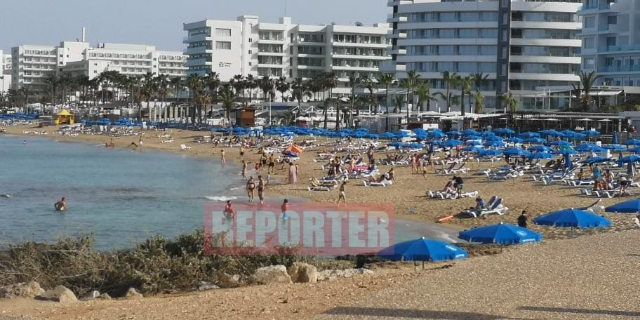 3892074001327295 prot1