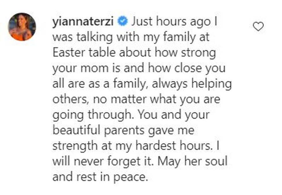 3892615023565720 terzi