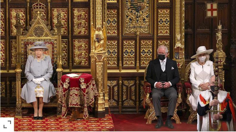 3900553402539091 image