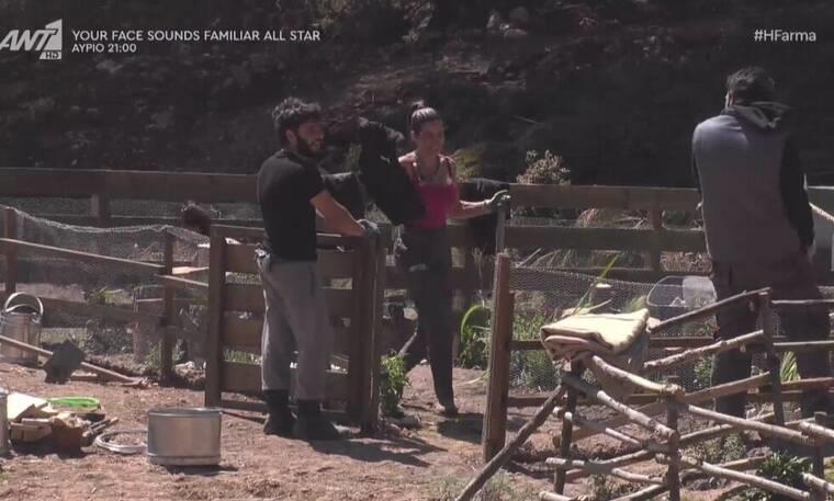 3903862902322505 farma3