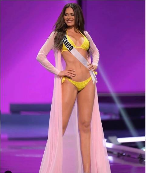 3905593720985517 image