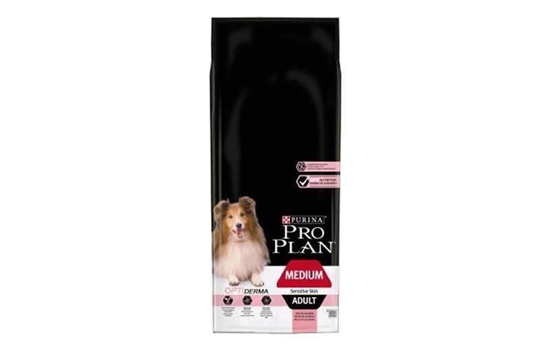 3905660638707429 pets7