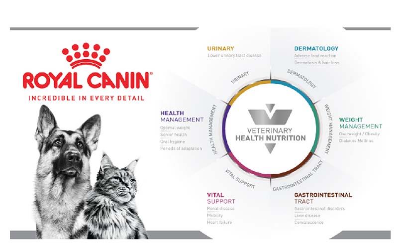 3905661342120447 pets5
