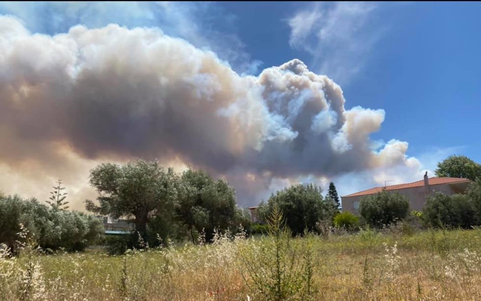 3909120033363050 187071736 4170485369677848 6205624078747445919 n