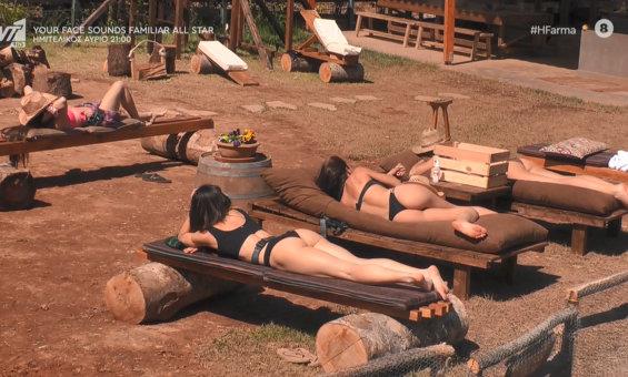 3909942138653348 farma-3