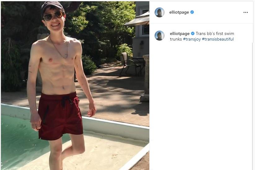 3911759501536066 dfh