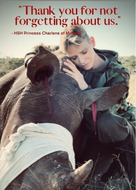 3918705931253247 image