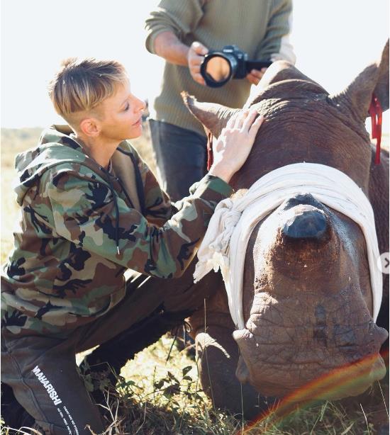 3918706273521635 image