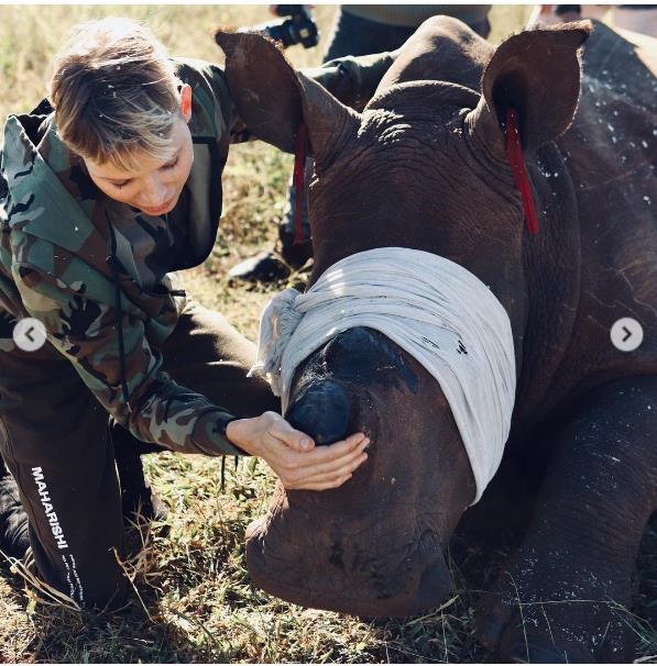 3918706573045475 image