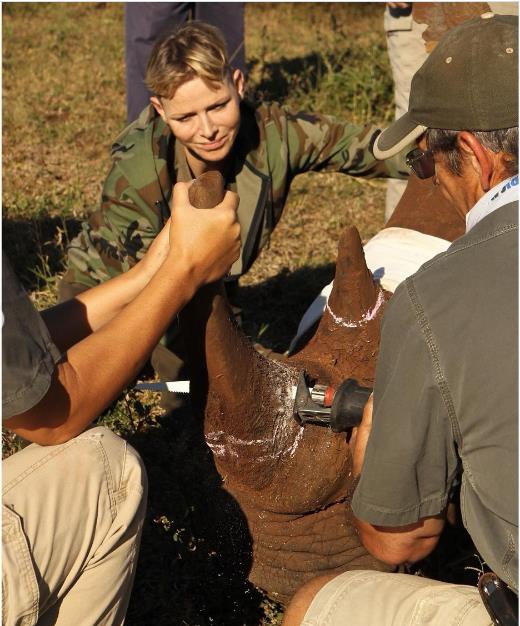 3918706869917281 image