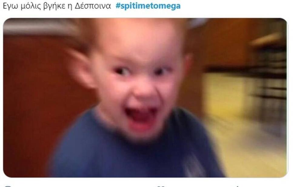 3922049528176843 vandi8