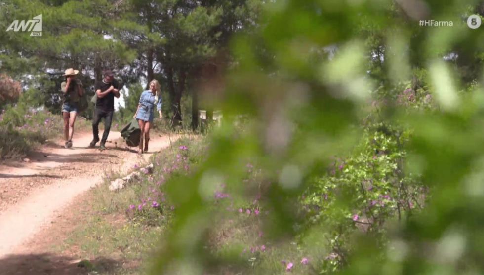 3925477934419459 panagiotaroy1