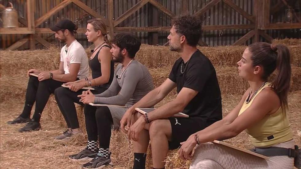 3925478325850543 kouiz-farma-1