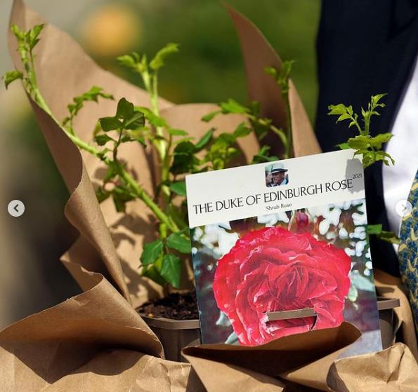 3926450810492752 image