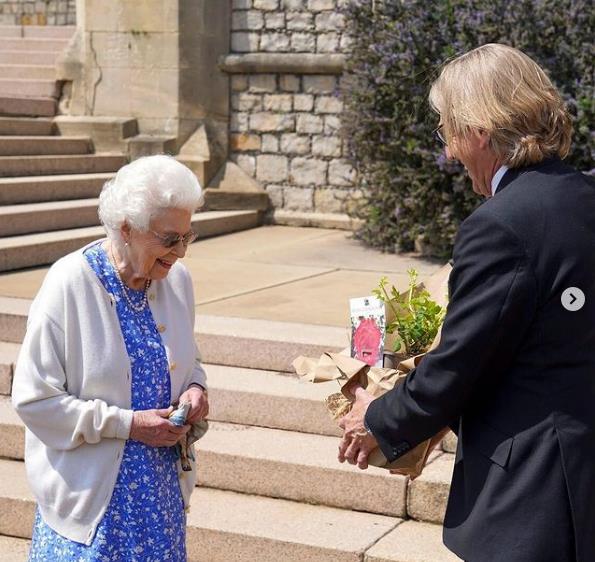 3926451067740050 image