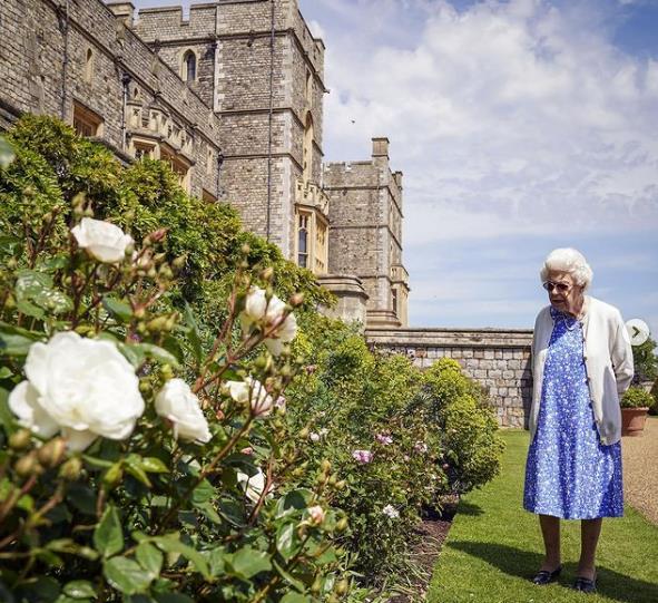 3926451515933796 image