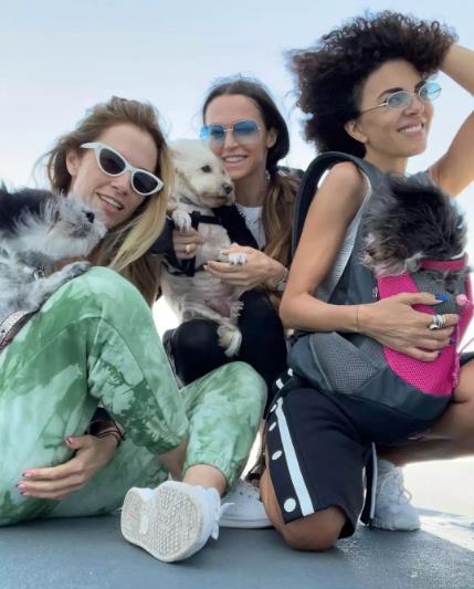 3935874091755529 image