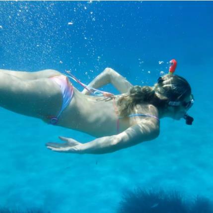 3935874762096123 image