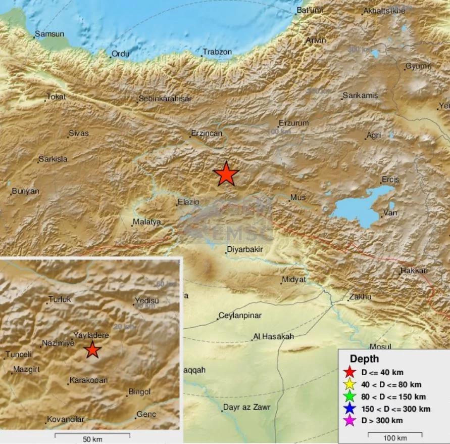 3938907223895078 image