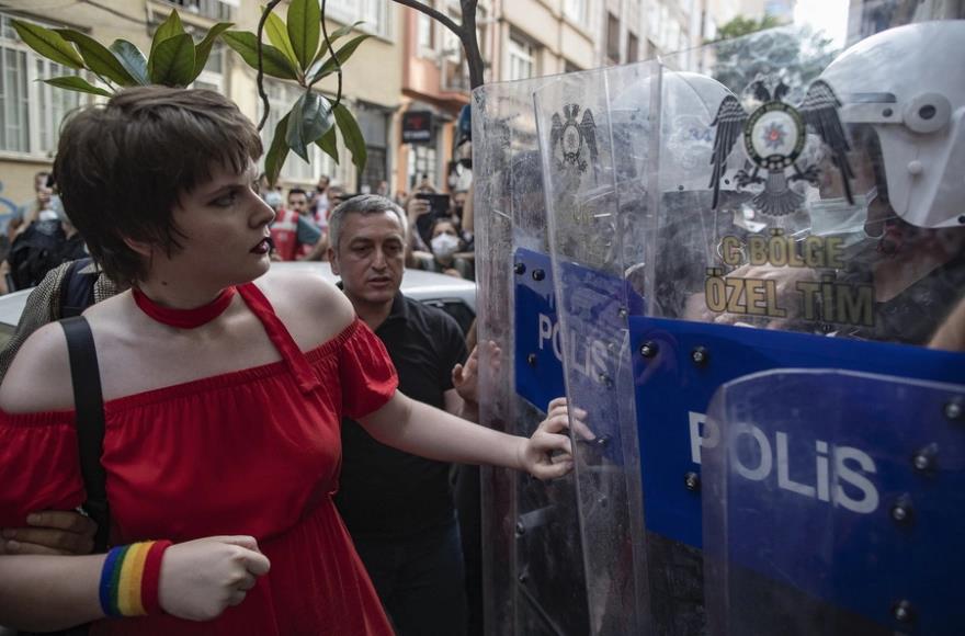 3939705339636430 image