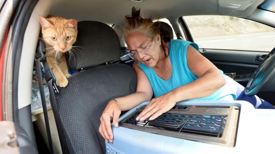 3944959906133574 image