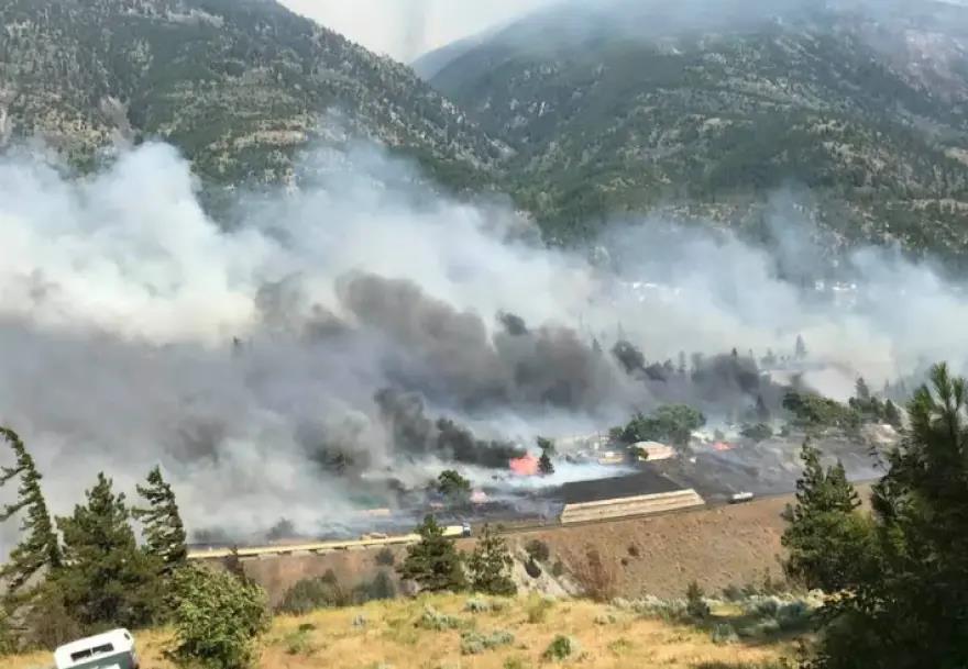 3944960571499164 image