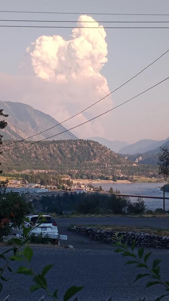 3944960621265078 image