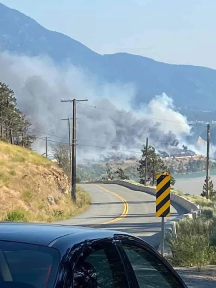 3944960668690902 image