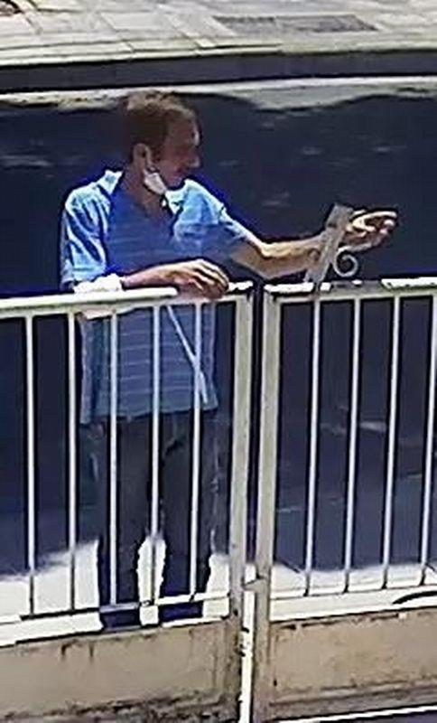 3947189245686011 27567 P 800 800