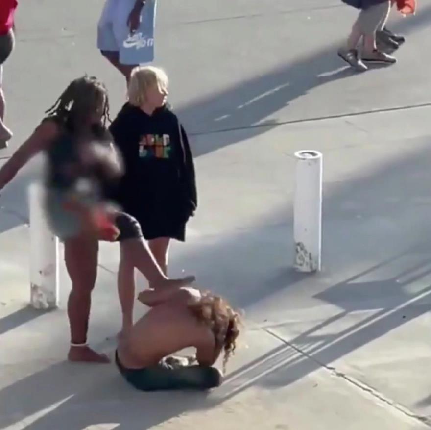 3947225447210325 image